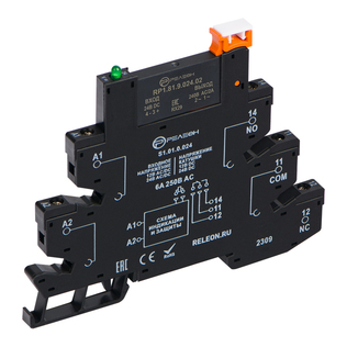 RM1.81.0.024.02 |Интерфейсный модуль твердотельного реле (~/= 24В AC/DC) выходная цепь 1НО 2А, 48-280В AC; переключение через 0; винтовые зажимы